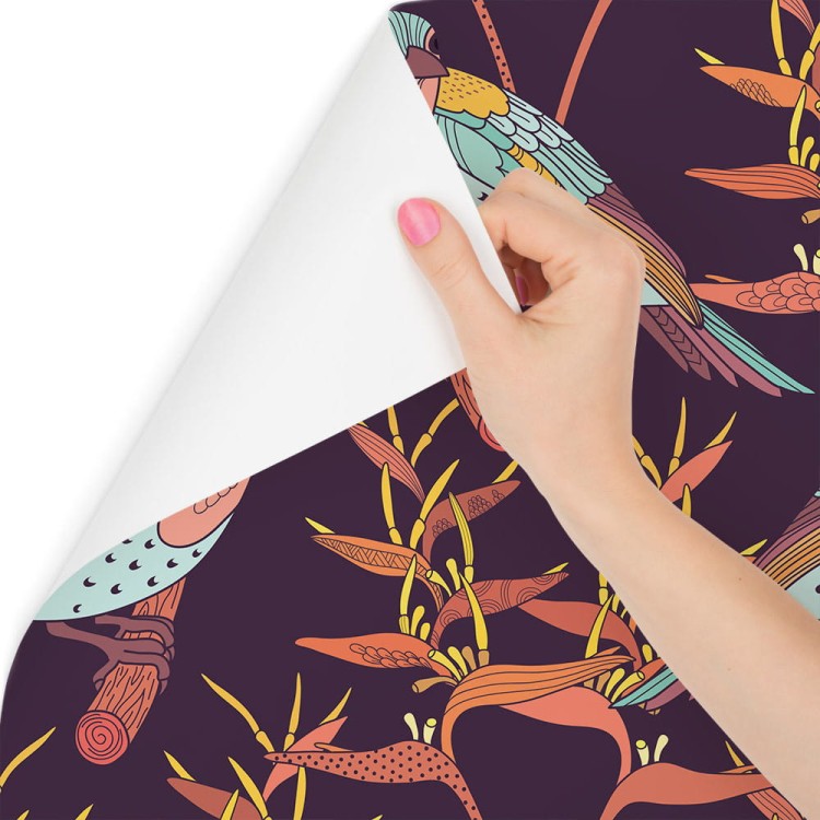 Tapeta – Kolorowe Ptaki