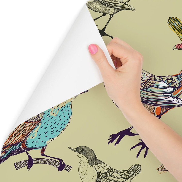 Tapeta – Kolorowe Ptaki