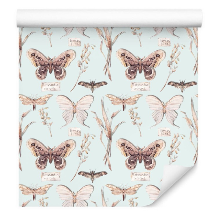 Tapeta Do Jadalni Motyle, Kwiaty, Rośliny, Natura