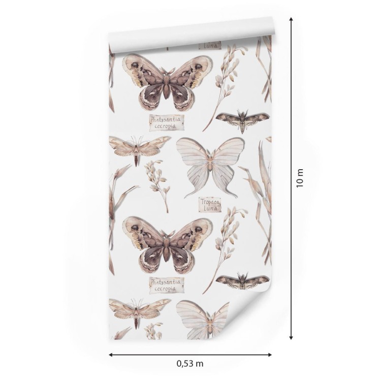 Tapeta Do Kuchni, Motyle, Kwiaty, Rośliny, Natura
