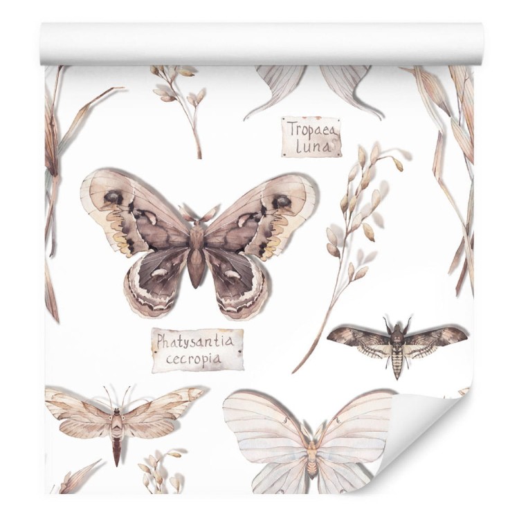 Tapeta Do Kuchni, Motyle, Kwiaty, Rośliny, Natura