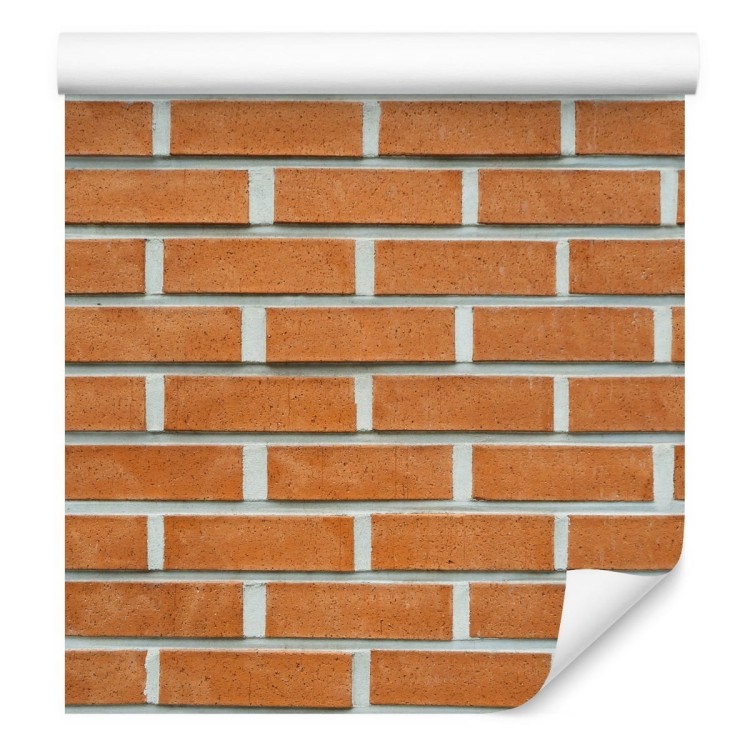 Tapeta Cegła Efekt 3D
