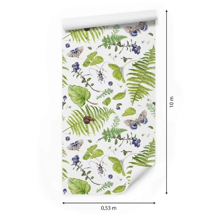 Tapeta Paproć Z Motylami