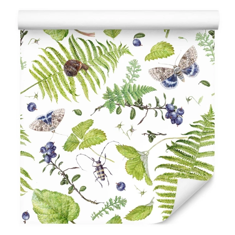 Tapeta Paproć Z Motylami