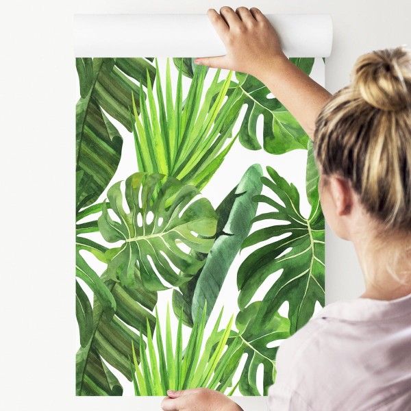 Tapeta Zielone Liście Monstery