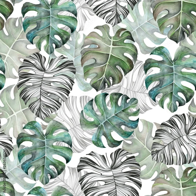 Tapeta Liście Monstera