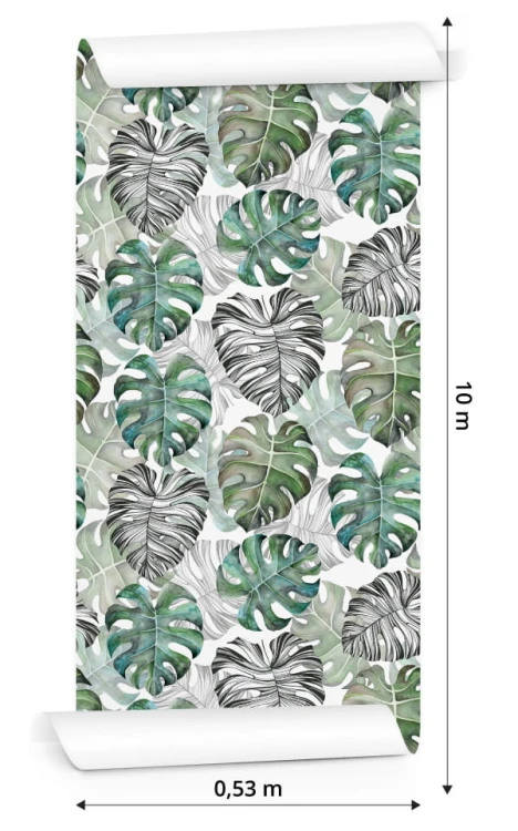 Tapeta Liście Monstera