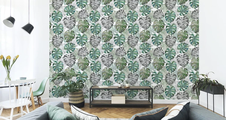 Tapeta Liście Monstera