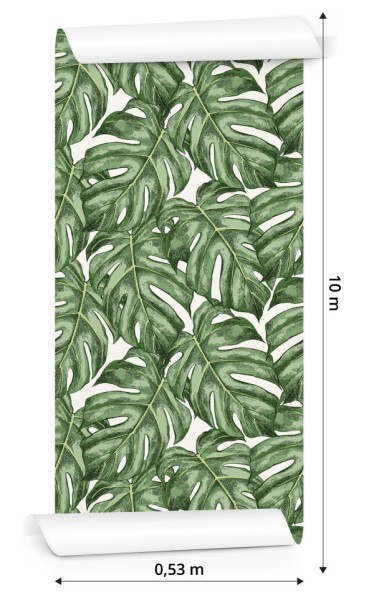 Tapeta Liście Monstera