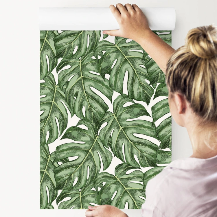 Tapeta Liście Monstera