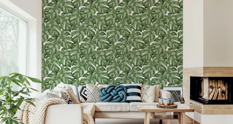 Tapeta Liście Monstera