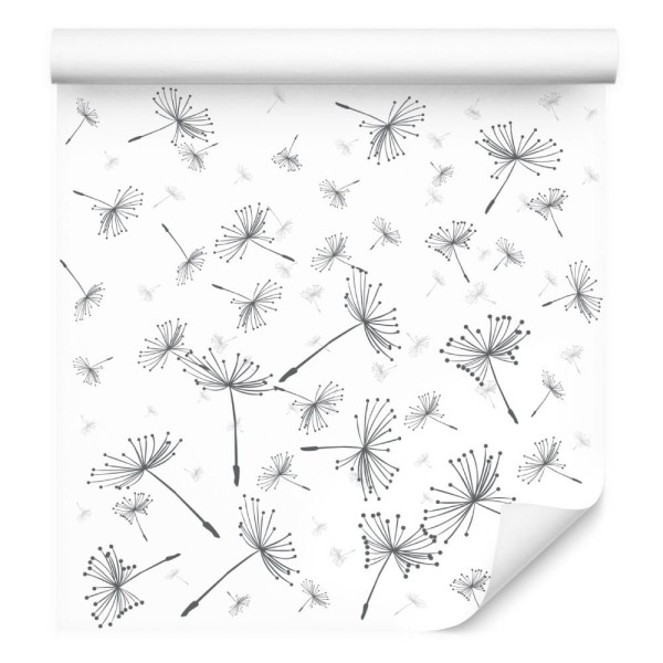 Tapeta Unoszące Się Nasiona Dmuchawca