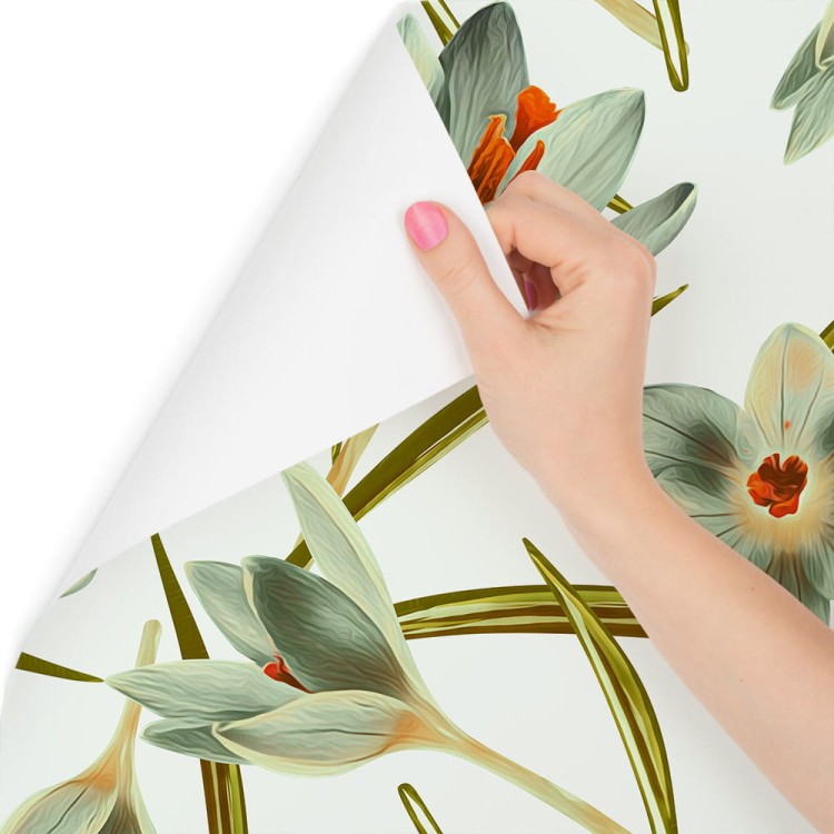 Tapeta Kwiaty Krokus Vintage