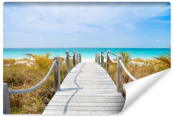 Fototapeta Ścieżka Na Karaibskiej Plaży