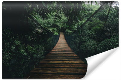 Fototapeta Wiszący Most W Lesie