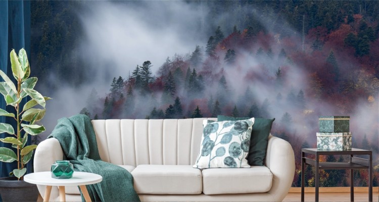 Fototapeta Jesienny Las W Pięknej Mgle