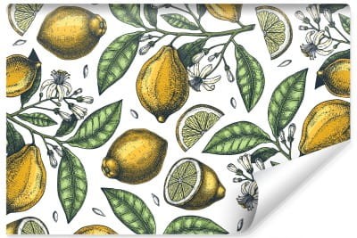 Fototapeta Cytryny Z Kwiatami