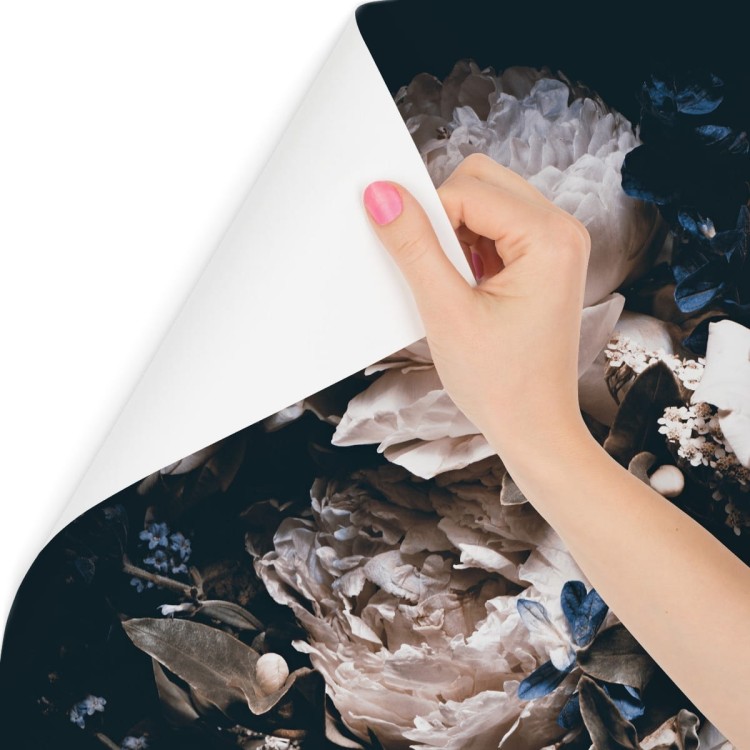 Fototapeta Piwonie W Ciemnej Odsłonie