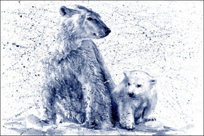 Fototapeta Niedźwiedzie Polarne