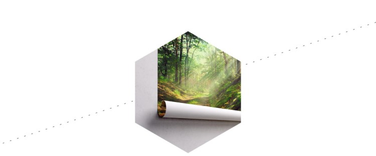Fototapeta Las Natura