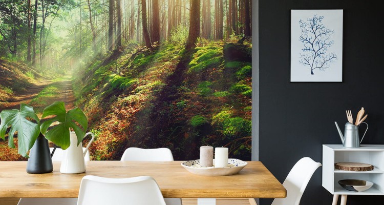 Fototapeta Las Natura