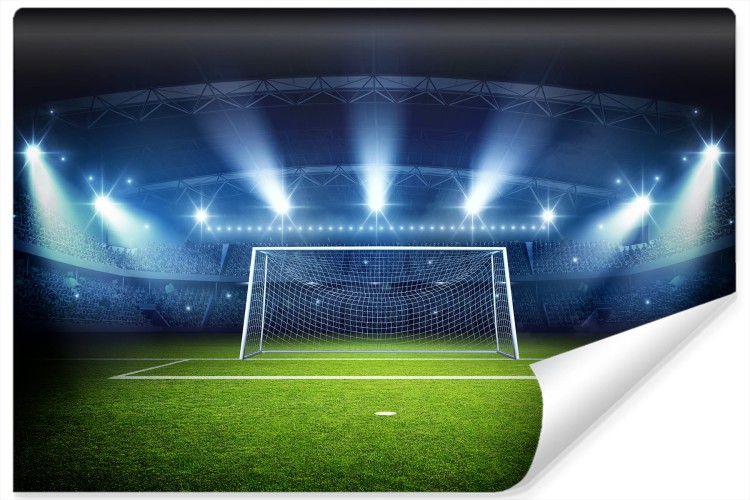 Fototapeta Bramka Na Stadionie