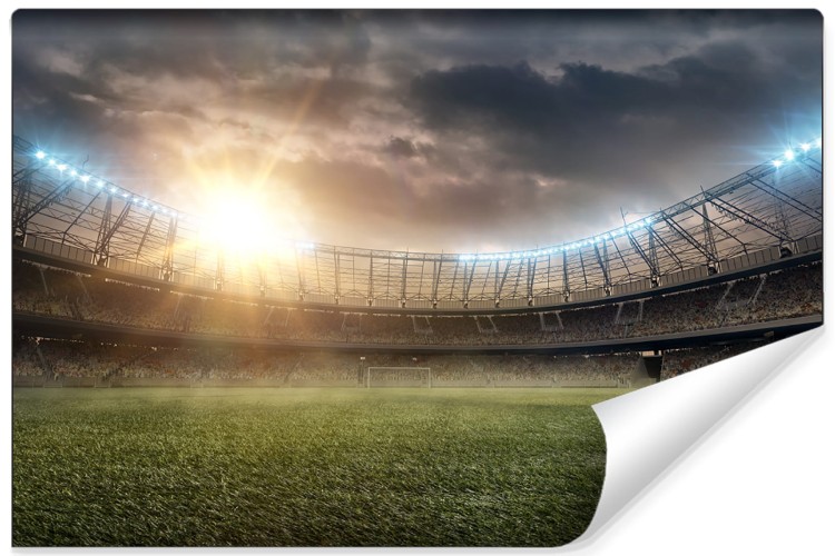 Fototapeta Boisko Stadion Piłka Nożna