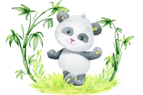 Fototapeta Panda I Bambus