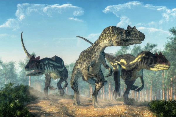 Fototapeta Trzy Dinozaury W Lesie