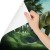 Fototapeta Realistyczny Dinozaur W Zieleni