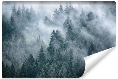 Fototapeta Mglisty Las W Górach