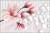 Fototapeta Kolorowa Magnolia