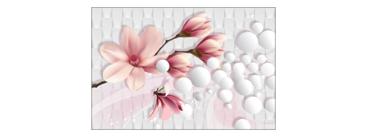 Fototapeta Kolorowa Magnolia