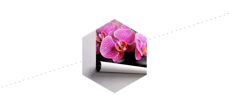 Fototapeta Orchidea Spa