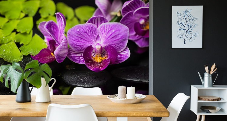 Fototapeta Orchidea Spa
