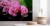 Fototapeta Orchidea Spa