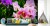 Fototapeta Kolorowe Orchidee 3D