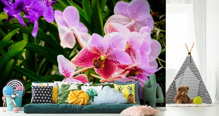 Fototapeta Kolorowe Orchidee 3D