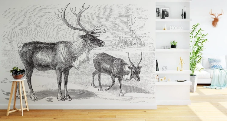 Fototapeta Jeleń Vintage