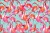 Fototapeta Flamingi