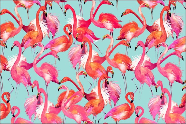Fototapeta Flamingi