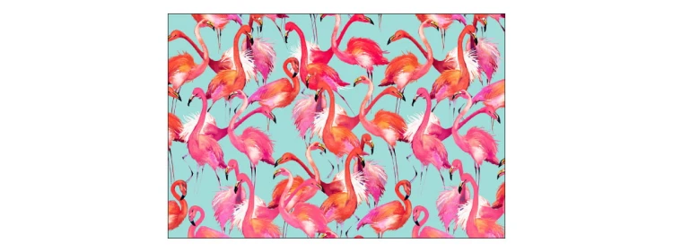 Fototapeta Flamingi