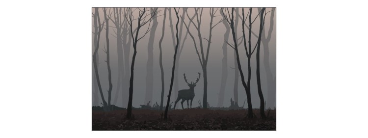 Fototapeta Jeleń W Lesie
