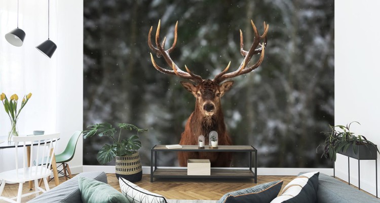 Fototapeta Jeleń W Lesie