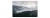 Fototapeta Mglisty Las Sosnowy