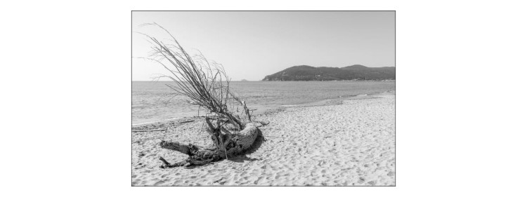 Fototapeta Plaża Morze Piasek