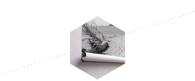 Fototapeta Plaża Morze Piasek
