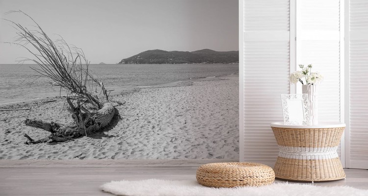 Fototapeta Plaża Morze Piasek