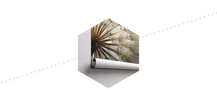 Fototapeta Dmuchawiec 3D