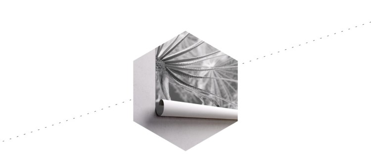 Fototapeta Dmuchawiec 3D